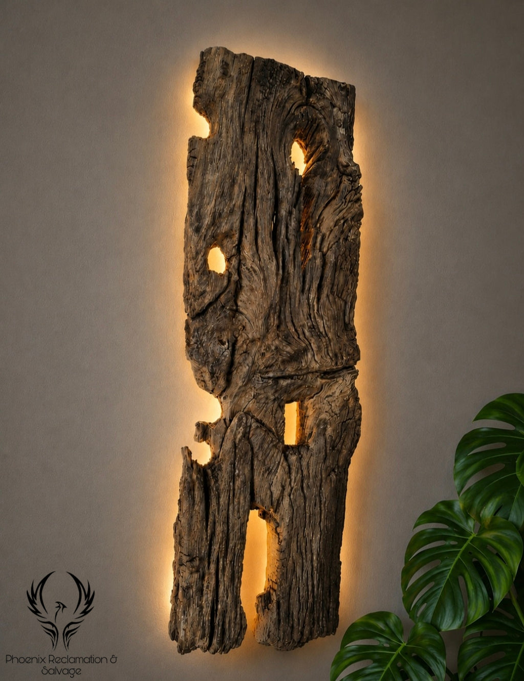 Starożytny Dąb - Ancient Oak