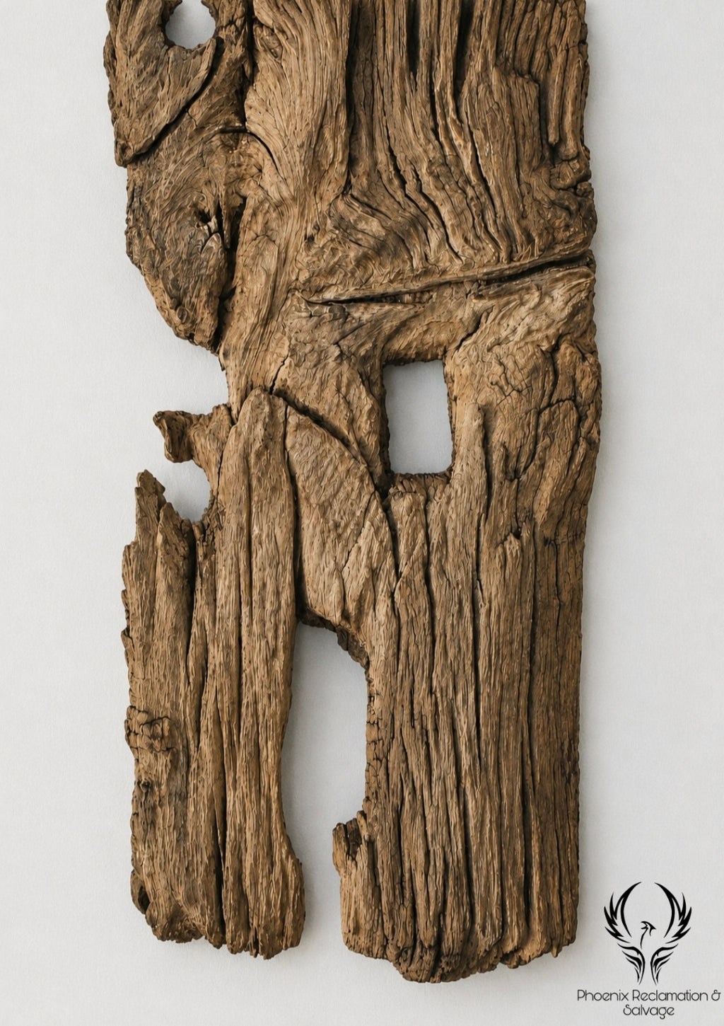 Starożytny Dąb - Ancient Oak