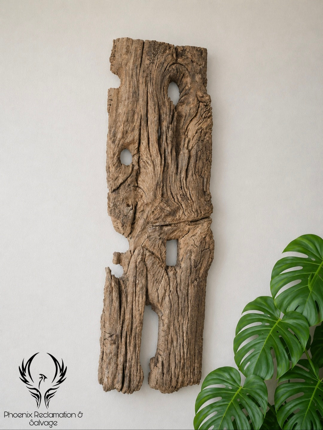 Starożytny Dąb - Ancient Oak