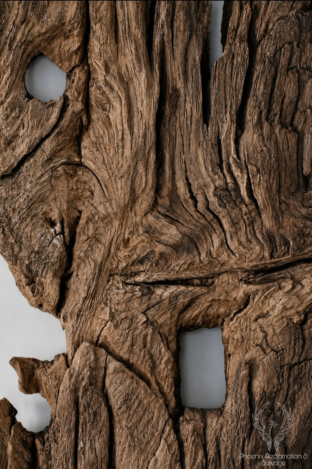 Starożytny Dąb - Ancient Oak